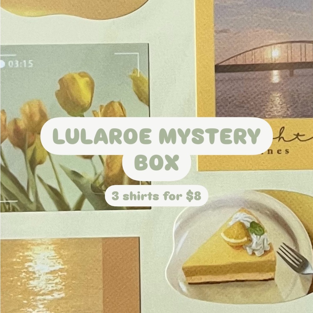 LuLaRoe Mystery Box - 3 Shirts